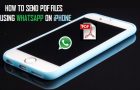 Send PDF Files Using WhatsApp On iPhone