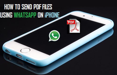 Send PDF Files Using WhatsApp On iPhone