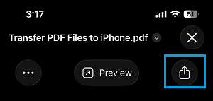 Share PDF File Option on iPhone