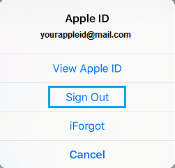 Sign Out of Apple ID Tab on iPhone