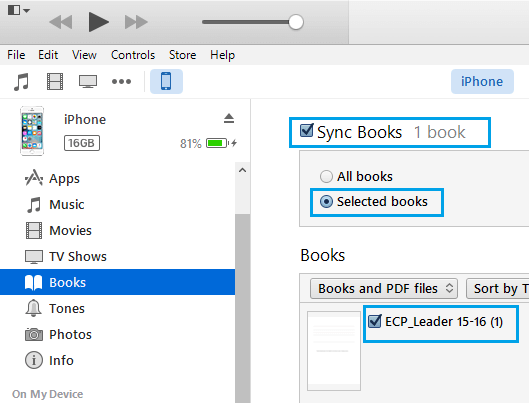 Sync File Options in iTunes