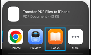 Share File Using Books App on iPhone