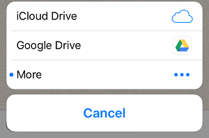 WhatsApp Document Share Options on iPhone