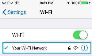 WiFi Network Name on iPhone