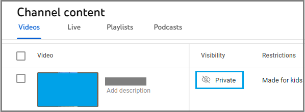 Private Video Settings Option in YouTube