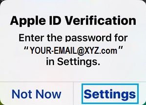 Apple ID Verification Pop-up