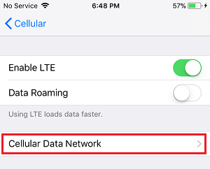 Cellular Data Network Option on iPhone