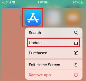 How to Update Apps on iPhone - 41