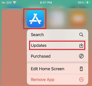 Update App Store From iPhone Home Screen
