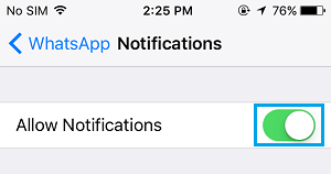 Allow WhatsApp Notifications on iPhone