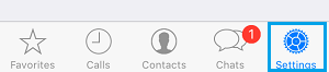 WhatsApp Settings option on iPhone
