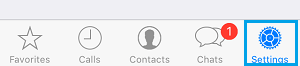WhatsApp Settings Option on iPhone
