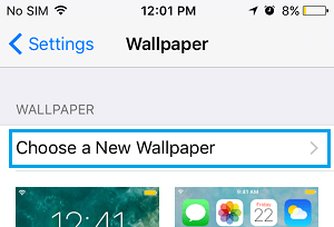 Choose A New Wallpaper Option On iPhone