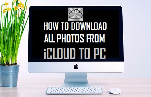 Download All Photos From iCloud to PC
