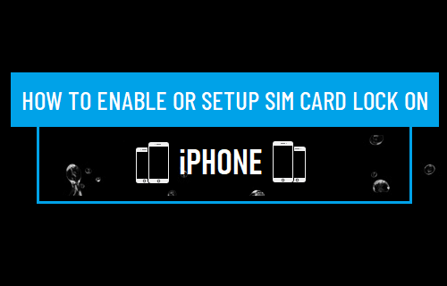 How to Enable or Setup SIM Card Lock On iPhone - 44