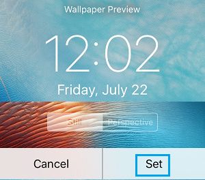 Wallpaper Preview Screen on iPhone