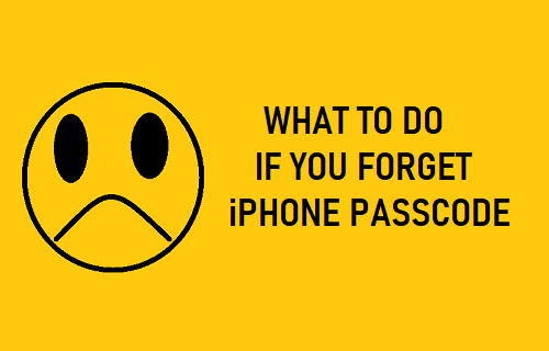 What to Do if You Forget iPhone Passcode
