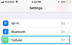 Cellular Settings Option on iPhone