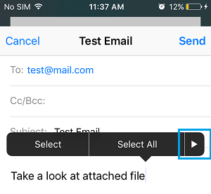 Email Editing Menu on iPhone