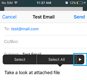 Editing Menu on iPhone Email Editing Screen