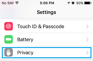 Privacy Option on iPhone Settings Screen