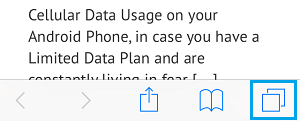 Tabs Icon in Safari on iPhone