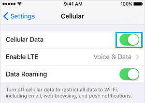 Enable Cellular Data on iPhone