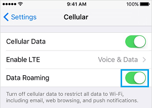 Enable Data Roaming on iPhone