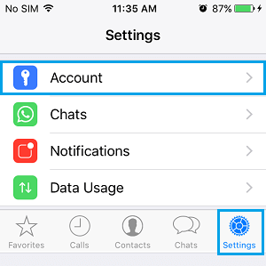 WhatsApp Account Options On iPhone