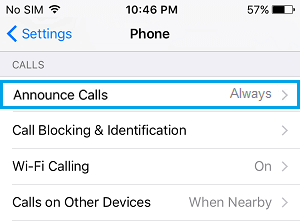 Announce Calls Tab on iPhone