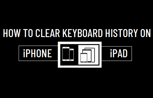 How to Clear Keyboard History on iPhone   iPad - 68
