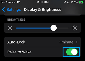 Habilitar Levantar para despertar en iPhone