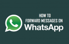 Forward Messages On WhatsApp