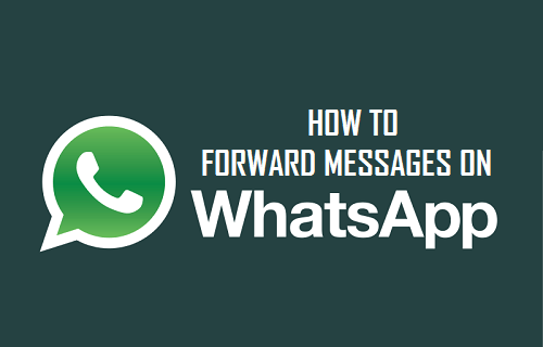 Forward Messages In WhatsApp