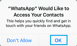 Allow WhatsApp Access to Contacts on iPhone