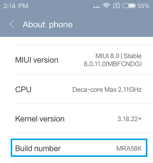 Build Number Option on Android Phone