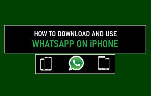 Download And Use WhatsApp on iPhone