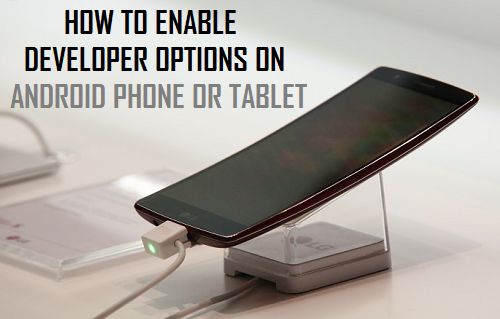 Enable Developer Options On Android Phone or Tablet