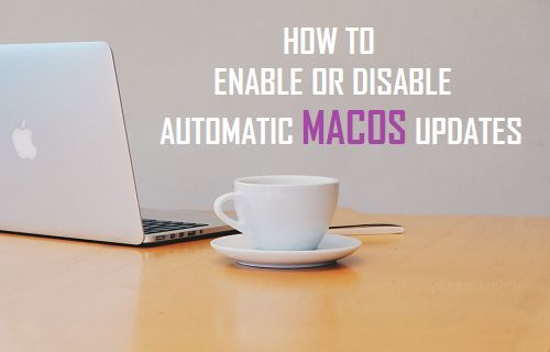 Enable Or Disable Automatic MacOS Updates