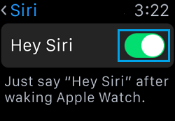 Enable Hey Siri on Apple Watch