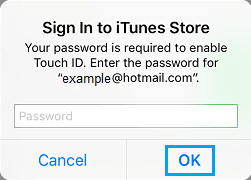 Enter Apple ID Password on iPhone