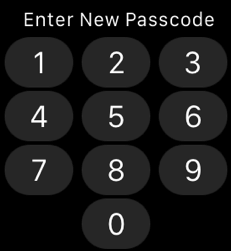 Enter Passcode for Apple Watch