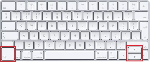 FN Key, Up Arrow and Down Arrow Keys On Mac