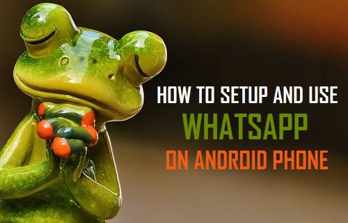 Setup and Use WhatsApp On Android Phone