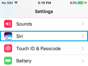 Siri Settings Tab on iPhone