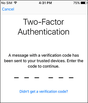 Enter Verification Code for Two Factor Authentication on iPhone