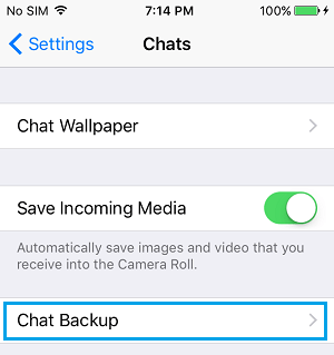 WhatsApp Chat Backup Option on iPhone