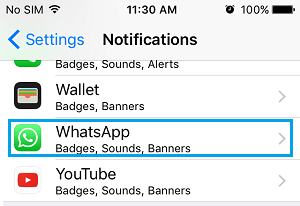 WhatsApp Notifications Setting Option on iPhone