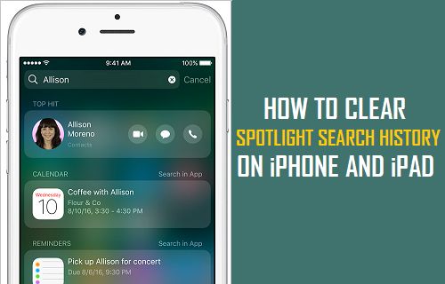 Clear Spotlight Search History On iPhone and iPad