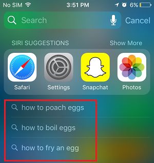 Spotlight Search History on iPhone